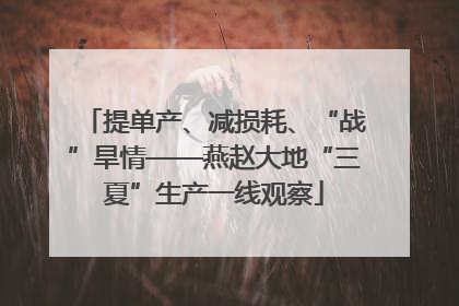 提单产、减损耗、“战”旱情——燕赵大地“三夏”生产一线观察